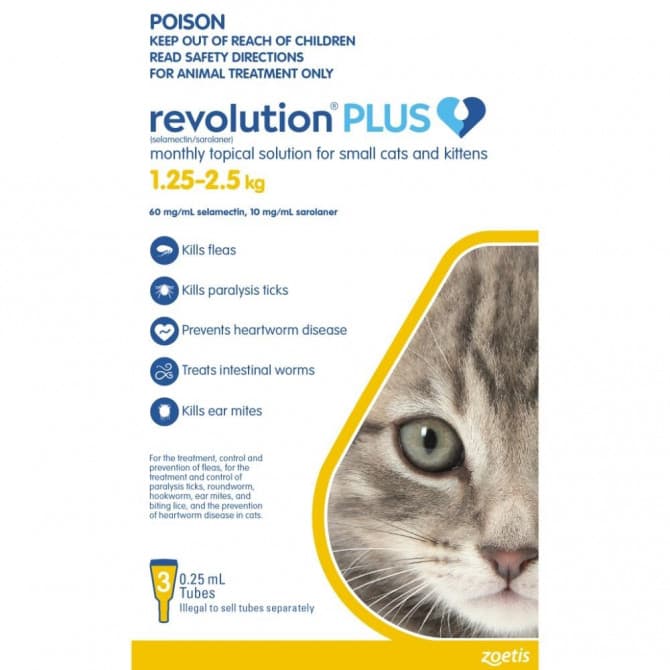 Cheapest place to buy revolution 2024 for cats